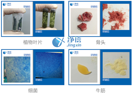 冷冻研磨仪研磨实验案例效果图