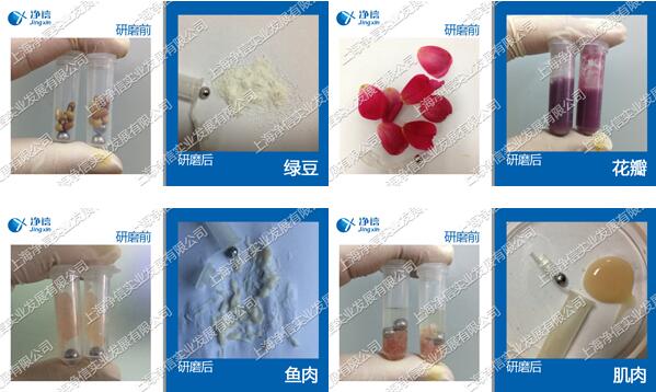 低温组织研磨仪样品前处理效果图