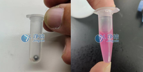 鼠皮肤组织前处理研磨实验效果