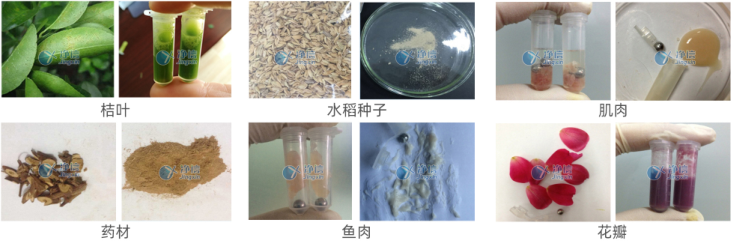 全自动样品快速研磨仪样品研磨效果图.png